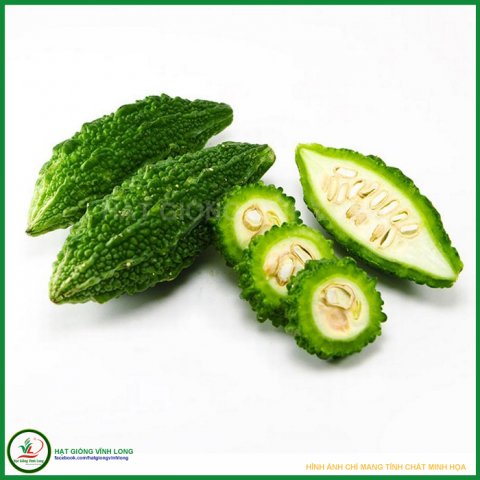 Hạt giống Khổ qua xanh Santa - 1g