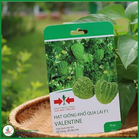 Hạt giống Khổ qua trái tim - 13 hạt