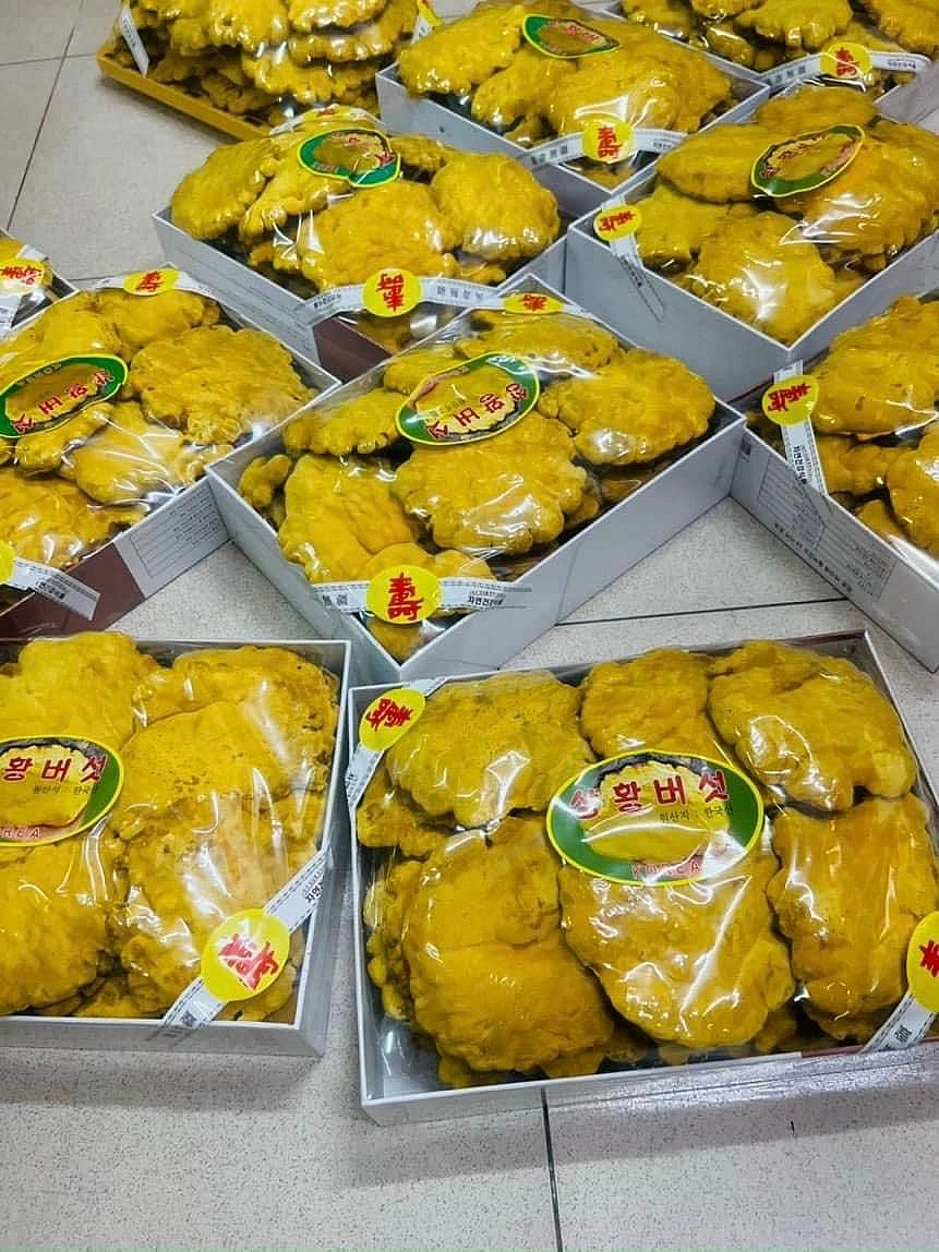 https://hinhanh.webvua.com/uploads/2023/07/04/95421bb7017feff716c22bf610012803.webp