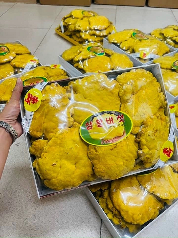 https://hinhanh.webvua.com/uploads/2023/07/04/c05ea067f17cee56b4906d7ff8353df6.webp