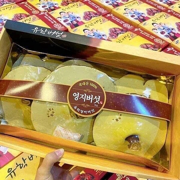 Nấm linh chi Geumsang thượng hạng hiệu cô gái