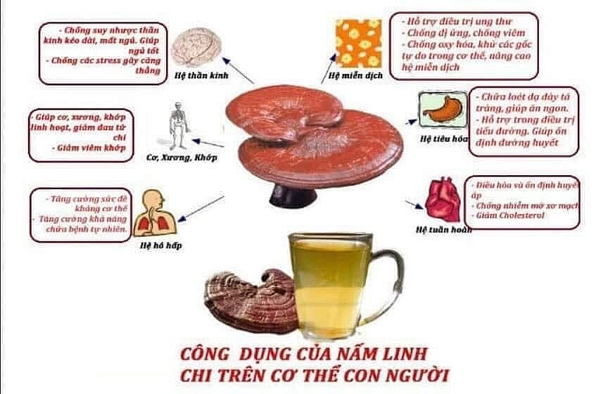 https://hinhanh.webvua.com/uploads/2023/07/05/e0c0a1fe75bb82d5c679fa1f839b84fe.webp