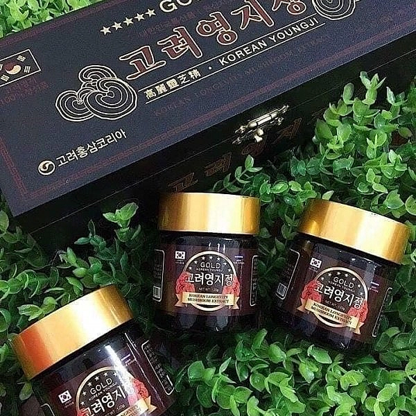 Cao linh chi núi hộp gỗ đen Hàn Quốc Gold