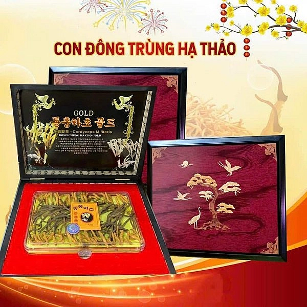 Đông trùng hạ thảo nguyên con hộp gỗ cao cấp 45G