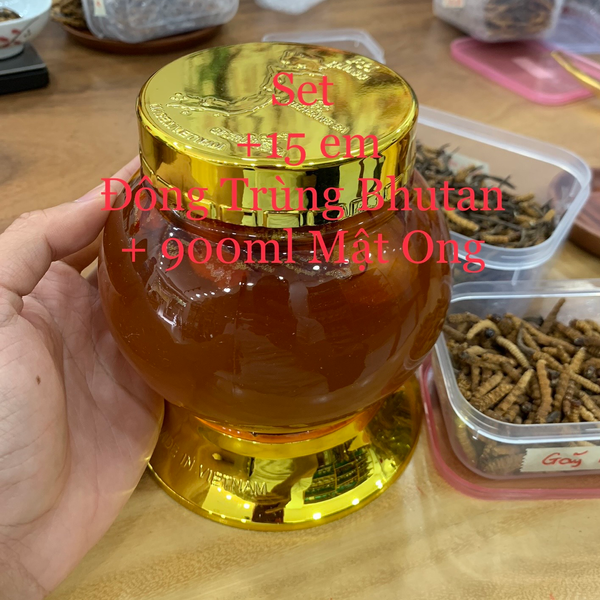 Set PREMIUM: 15 em Đông Trùng + 900ml Mật Ong