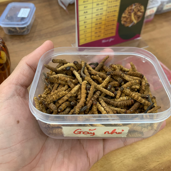 Sản Phẩm 5: Gãy nhỏ 10gr (51-70 con)