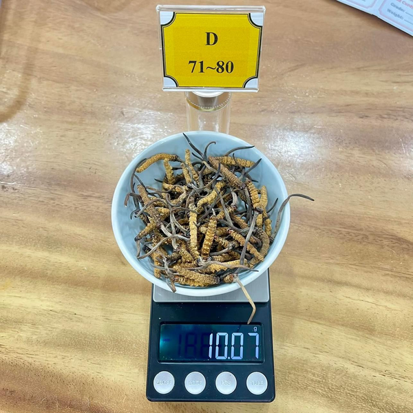 Sản Phẩm 7: Nhí 5gr (71-80 con)
