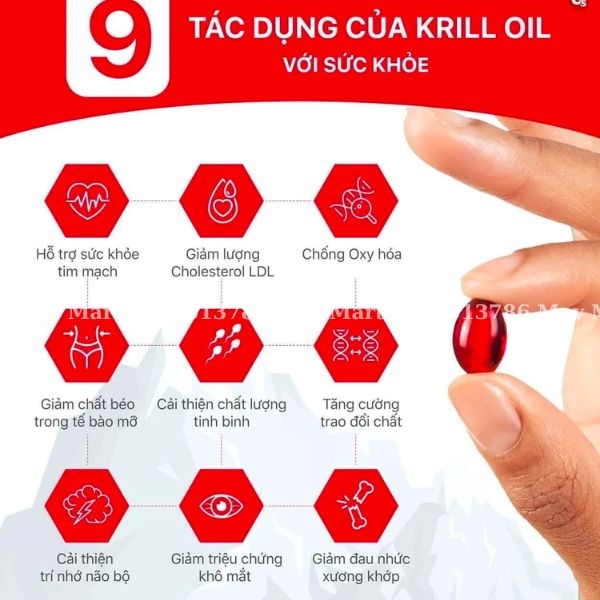 Viên nang bổ sung chất béo từ dầu nhuyễn thể Krill Oil